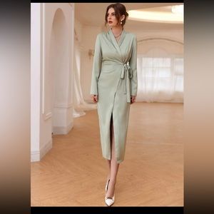 NWOT Shawl Collar Wrap Knot Side Satin dress